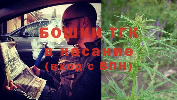 прущий лед Богданович