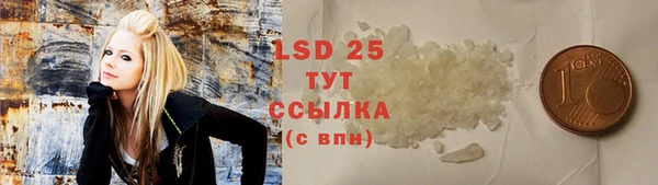 прущий лед Богданович