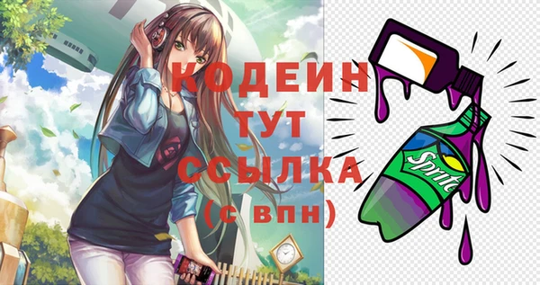 прущий лед Богданович