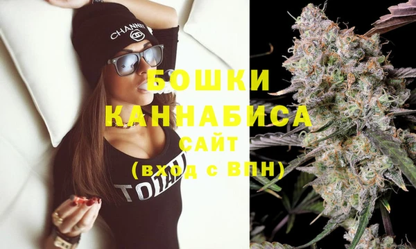 прущий лед Богданович