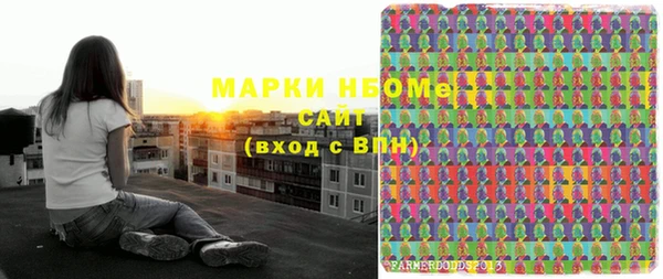 шишки Новодвинск