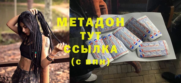 шишки Новодвинск