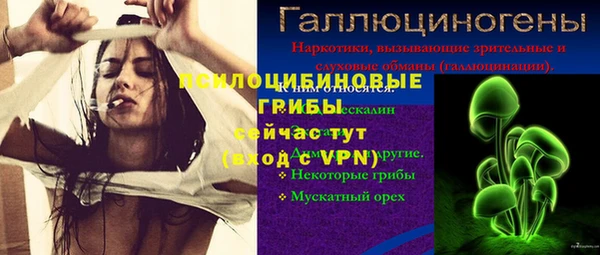 гидропоника Новозыбков