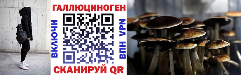 Псилоцибиновые грибы Psilocybine cubensis  Боровичи 